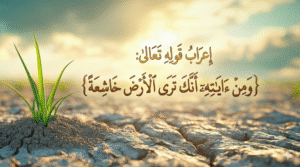 إعراب قوله تعالى ومن آياته أنك ترى الأرض خاشعة